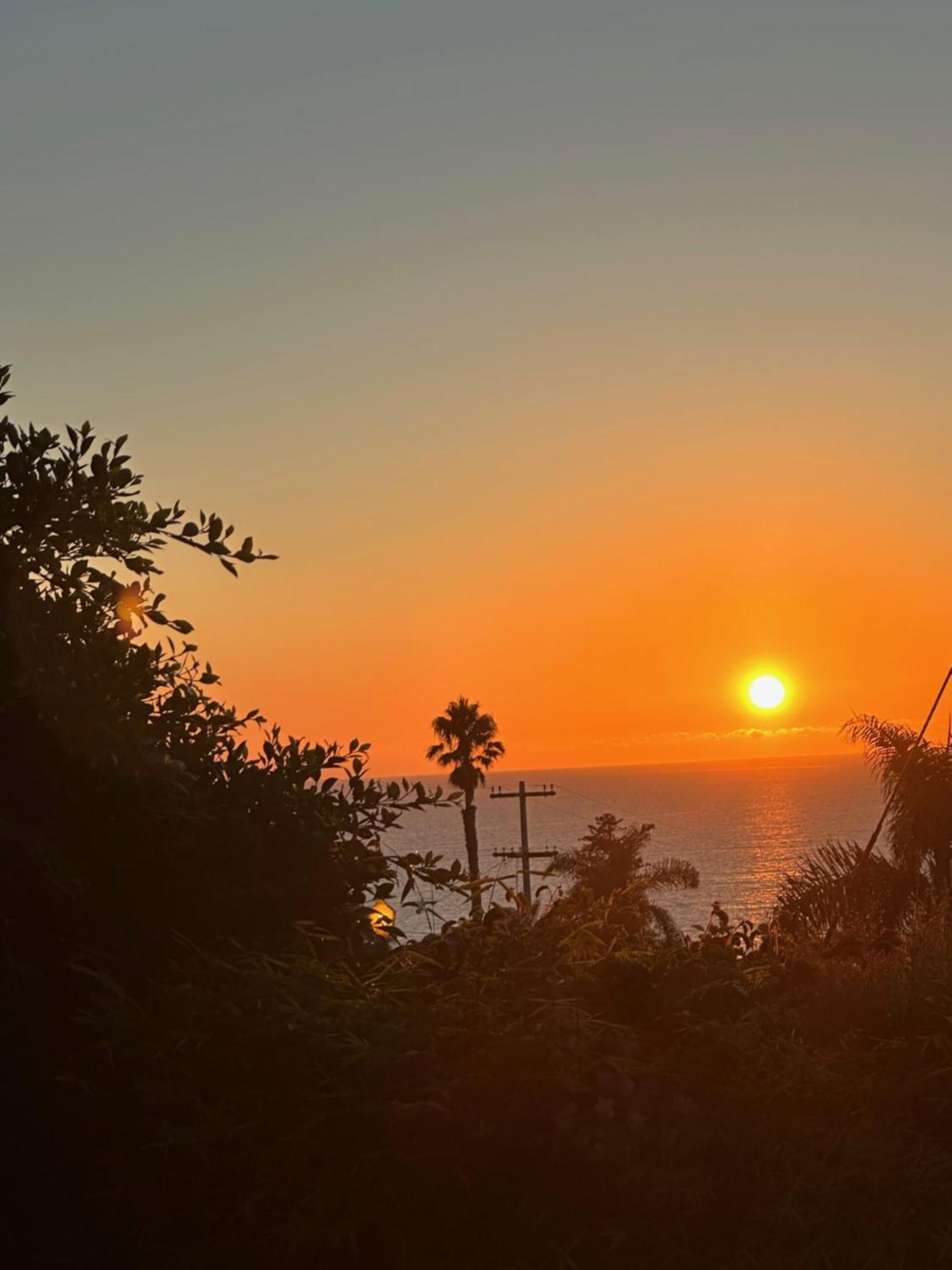 Contemporary Ocean Sunset Views With Firepit Pt Loma Close To Plnu San Diego Exterior photo