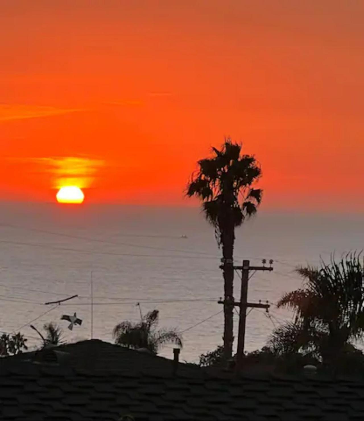 Contemporary Ocean Sunset Views With Firepit Pt Loma Close To Plnu San Diego Exterior photo